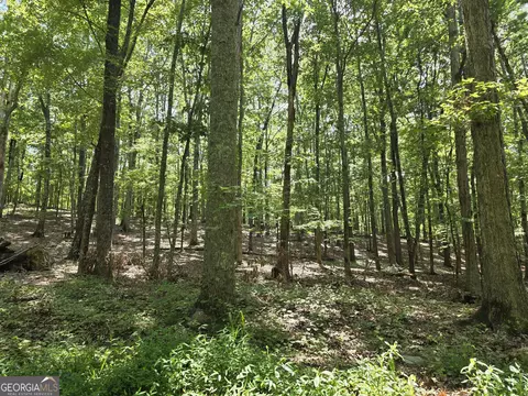 0 Cobb Mountain Rd, Buchanan, GA 30113 photo 2