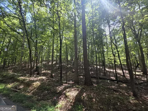 0 Cobb Mountain Rd, Buchanan, GA 30113 photo 3