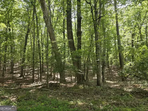 0 Cobb Mountain Rd, Buchanan, GA 30113