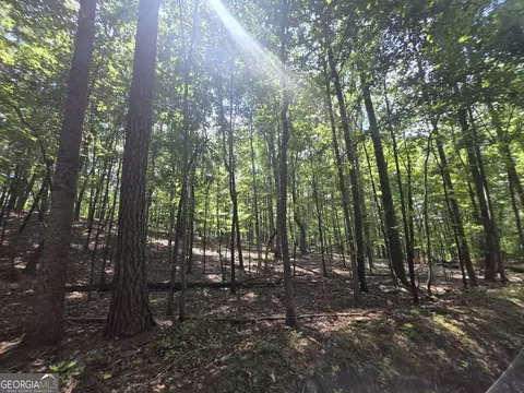 0 Cobb Mountain Rd, Buchanan, GA 30113 photo 4