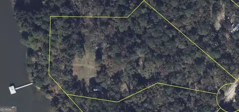 164 Griffith Dr, Fort Gaines, GA 39851