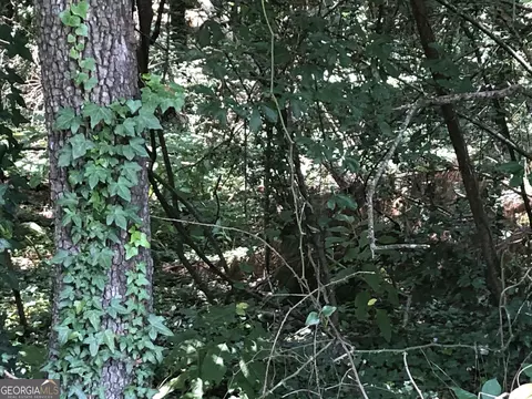 0 Moreland Ave, Toccoa, GA 30577 photo 3