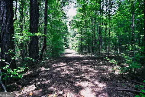 Other - 1317 Bartley Rd, Lagrange, GA 30240 photo 10 of 16