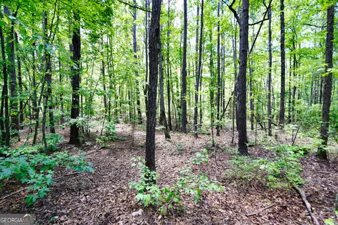 Other - 1317 Bartley Rd, Lagrange, GA 30240 photo 9 of 16