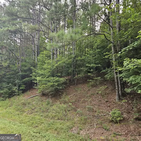 0 Doster Rd, Madison, GA 30650