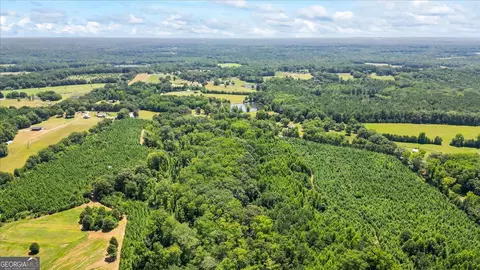 0 Midway Rd, Williamson, GA 30292 photo 9