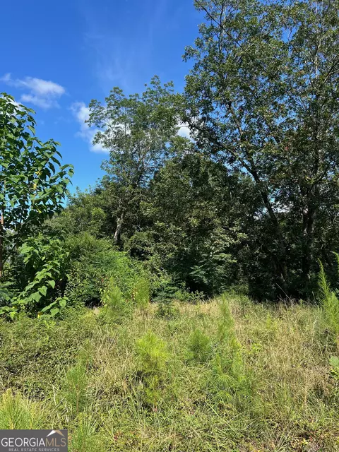 0 N Barnard Ave, Lagrange, GA 30241 photo 2