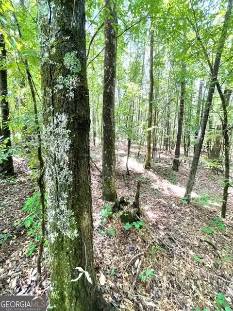 0 Highway 22, Rayle, GA 30660 photo 4