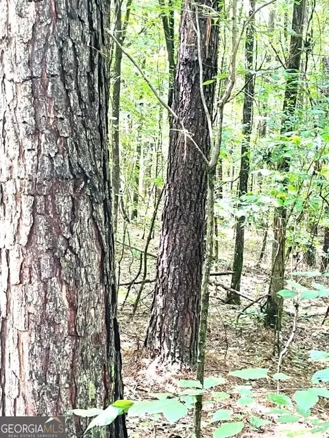 0 Highway 22, Rayle, GA 30660 photo 3