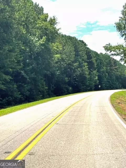 0 Highway 22, Rayle, GA 30660 photo 9