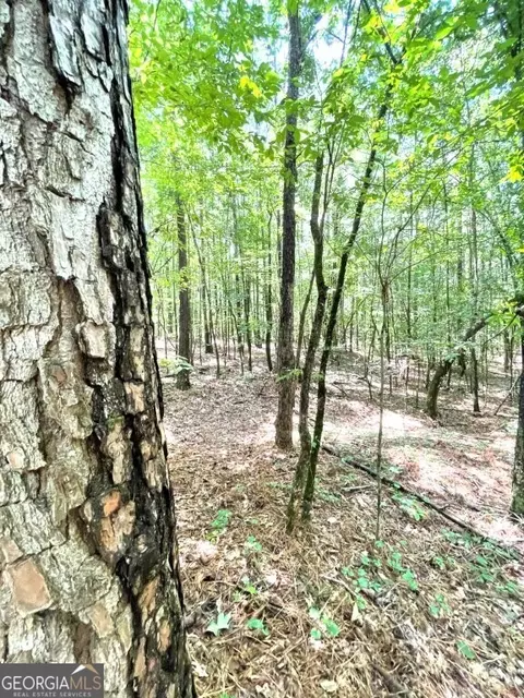 0 Highway 22, Rayle, GA 30660 photo 6