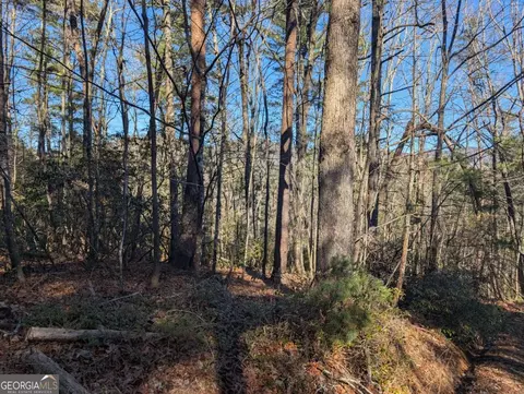 lot J251 Pine Ridge Ct, Ellijay, GA 30536