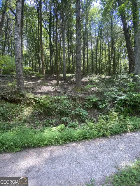 Hemlock Hemlock Trail, Blue Ridge, GA 30513