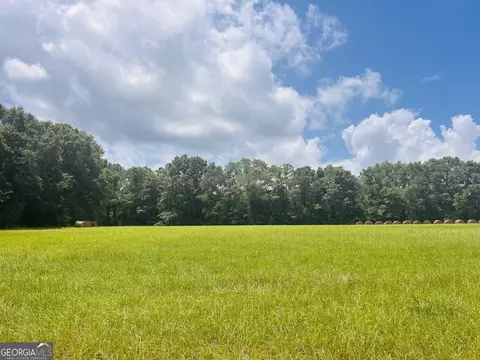 0 Fouche Rd, Buena Vista, GA 31803