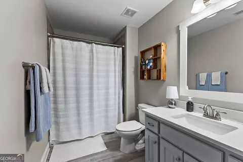 Bath - 106 Huckaby Rd, Brooks, GA 30205 photo 5 of 8