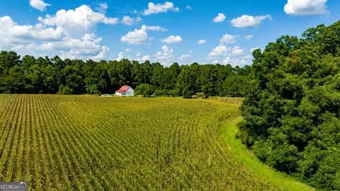227 Barnes Nursery Rd, Bronwood, GA 39826