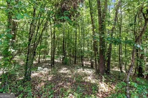 0 George Rd, Cave Spring, GA 30124 photo 6