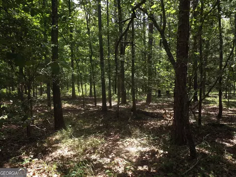 0 George Rd, Cave Spring, GA 30124 photo 18