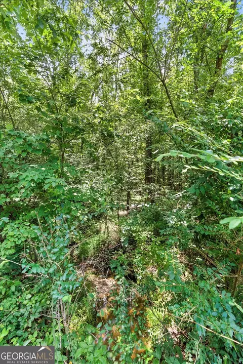 0 George Rd, Cave Spring, GA 30124 photo 8