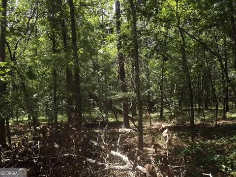 0 George Rd, Cave Spring, GA 30124 photo 19