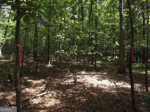 0 George Rd, Cave Spring, GA 30124 photo 22