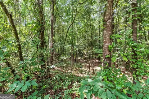 0 George Rd, Cave Spring, GA 30124 photo 7