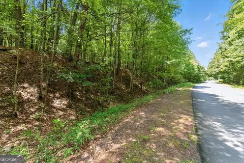0 George Rd, Cave Spring, GA 30124 photo 4