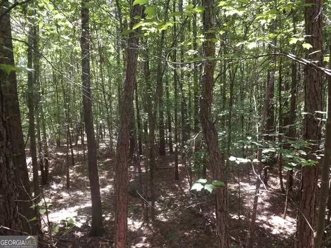 0 George Rd, Cave Spring, GA 30124 photo 21