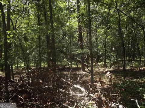 0 George Rd, Cave Spring, GA 30124 photo 20
