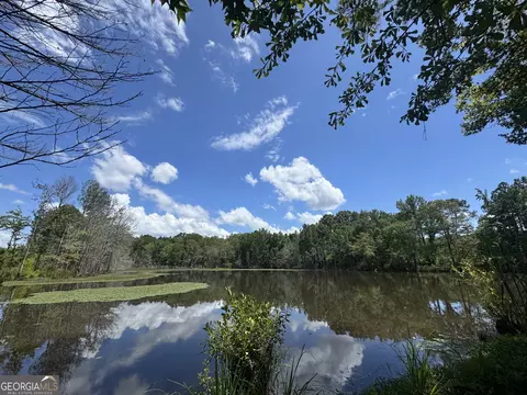 353 Parham Rd, Warm Springs, GA 31830