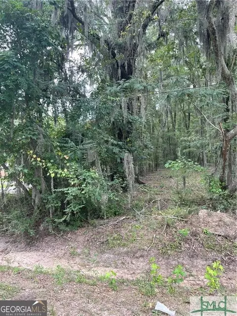 0 Big Hill Rd, Garden City, GA 31408