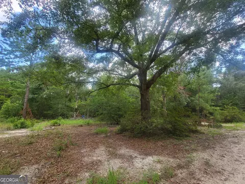 0 O F Lanier Rd, Pembroke, GA 31321