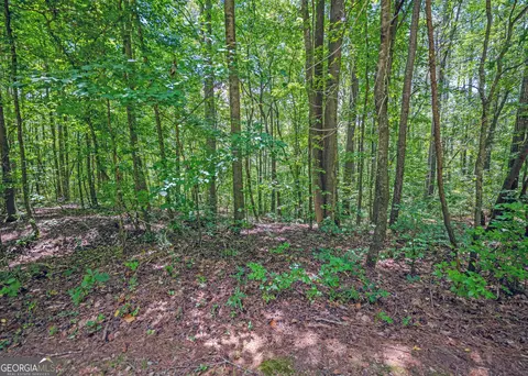 lot10 Benttree Cir, Toccoa, GA 30577 photo 8