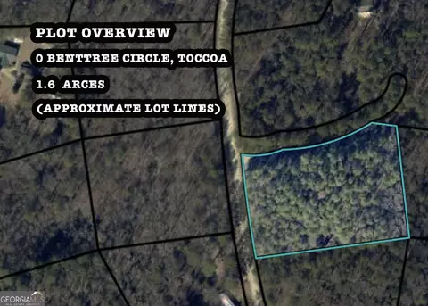 lot10 Benttree Cir, Toccoa, GA 30577 photo 14