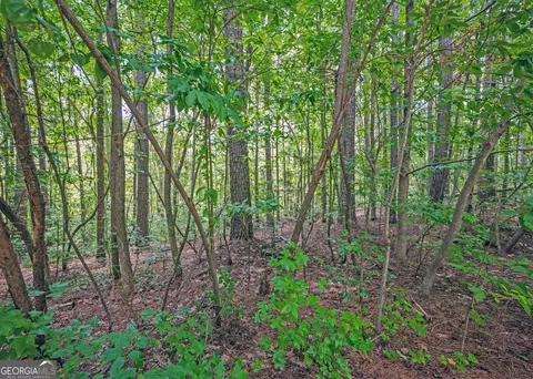 lot10 Benttree Cir, Toccoa, GA 30577 photo 10