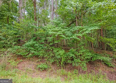 lot10 Benttree Cir, Toccoa, GA 30577 photo 13
