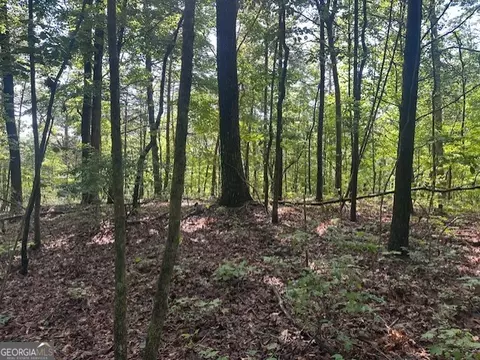 Tr3 - 3.83 Acre Wendy Hill Road, Talking Rock, GA 30175