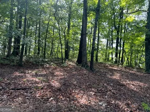 Tr10 - 4.64 Acr Wendy Hill Road, Talking Rock, GA 30175
