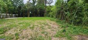 981 Perdue St, Macon, GA 31206