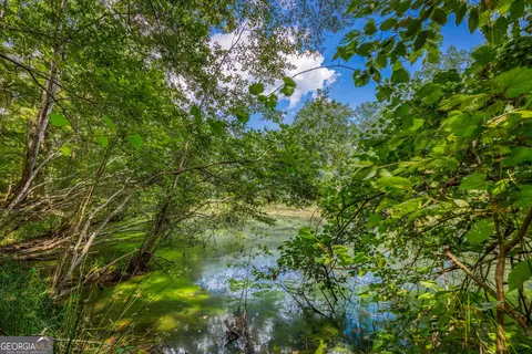 0 Mallory Rd, Madison, GA 30650 photo 5