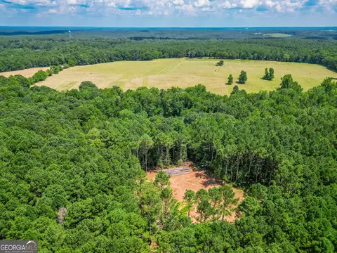 0 Mallory Rd, Madison, GA 30650 photo 15
