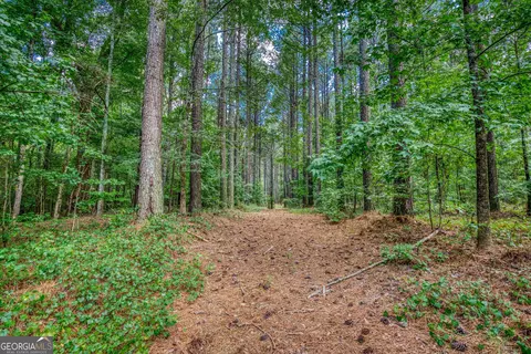 0 Mallory Rd, Madison, GA 30650 photo 8