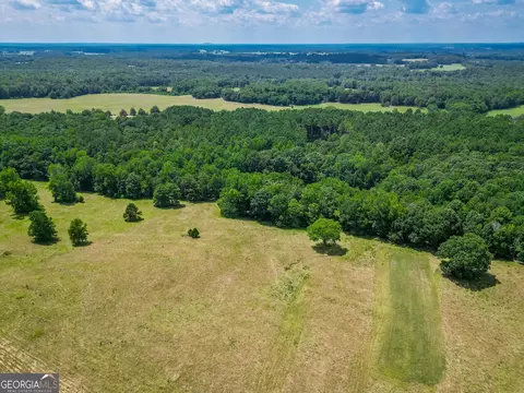 0 Mallory Rd, Madison, GA 30650 photo 10