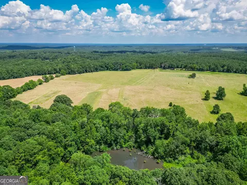 0 Mallory Rd, Madison, GA 30650 photo 6