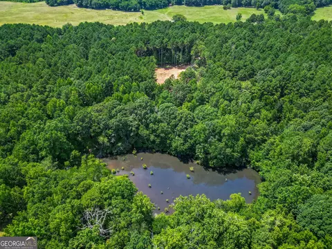 0 Mallory Rd, Madison, GA 30650 photo 3