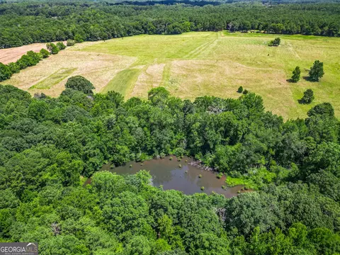 0 Mallory Rd, Madison, GA 30650 photo 11