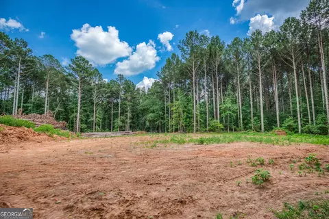 0 Mallory Rd, Madison, GA 30650 photo 7