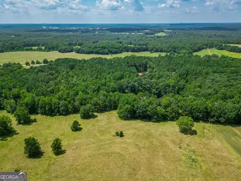 0 Mallory Rd, Madison, GA 30650 photo 9