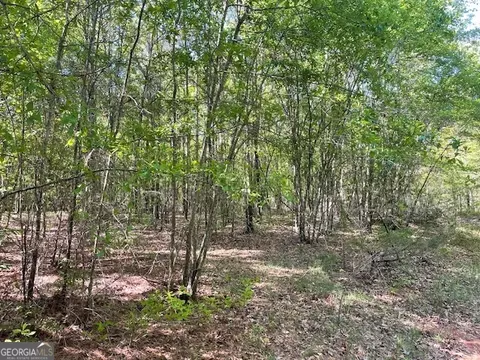 10 35 Cannafax Rd, Barnesville, GA 30204