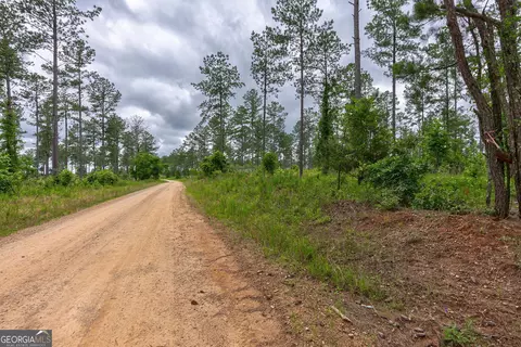 0 Mcwhorter Rd, Stephens, GA 30667 photo 10